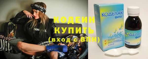 крисы Бородино