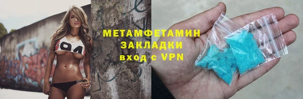 крисы Бородино