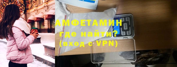 крисы Бородино
