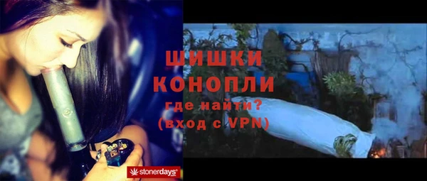 крисы Бородино