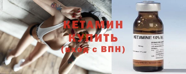 крисы Бородино