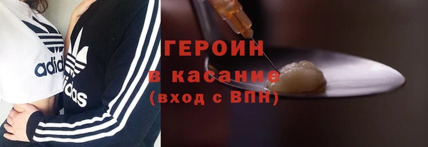 крисы Бородино