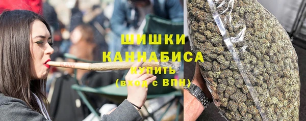 крисы Бородино