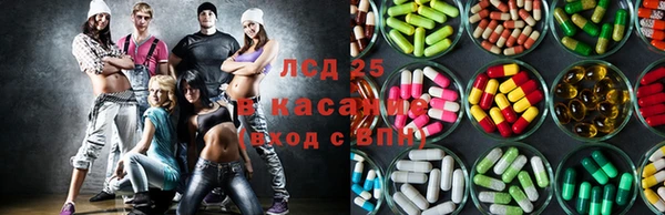 крисы Бородино