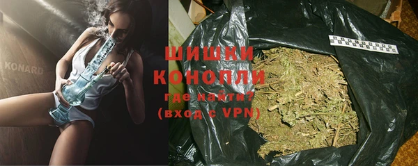 крисы Бородино