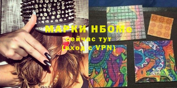 крисы Бородино