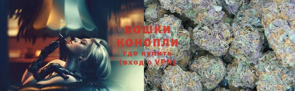 крисы Бородино
