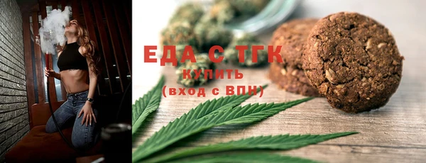 крисы Бородино