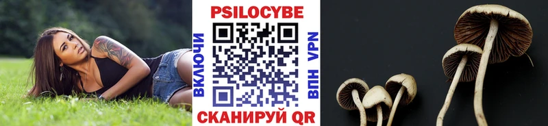 Купить закладки  Омутнинск  Галлюциногенные грибы Cubensis 
